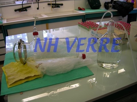 Bioréacteur biofermenteur